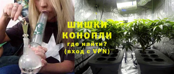 2c-b Горнозаводск