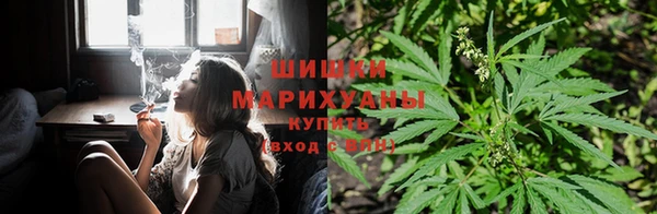 марихуана Горно-Алтайск