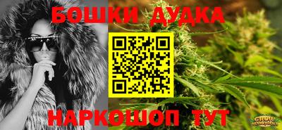 индика Ипатово