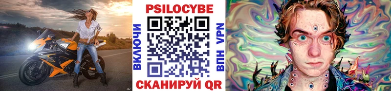 Псилоцибиновые грибы Cubensis  Похвистнево 