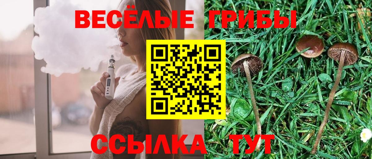 Галлюциногенные грибы прущие грибы Похвистнево
